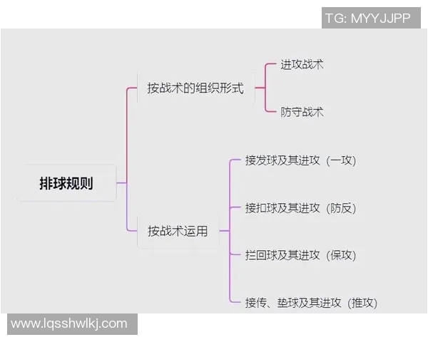 上海排球队中路突破的战术解析与深度剖析 上海排球队中路突破的战术解析与深度剖析